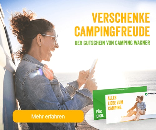 Pro Plus Lenkradschloss mit 2 Schlüsseln bei Camping Wagner Campingzubehör
